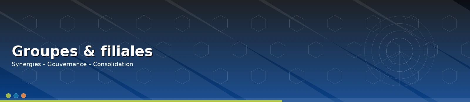 Groupes & filiales — SIFEC