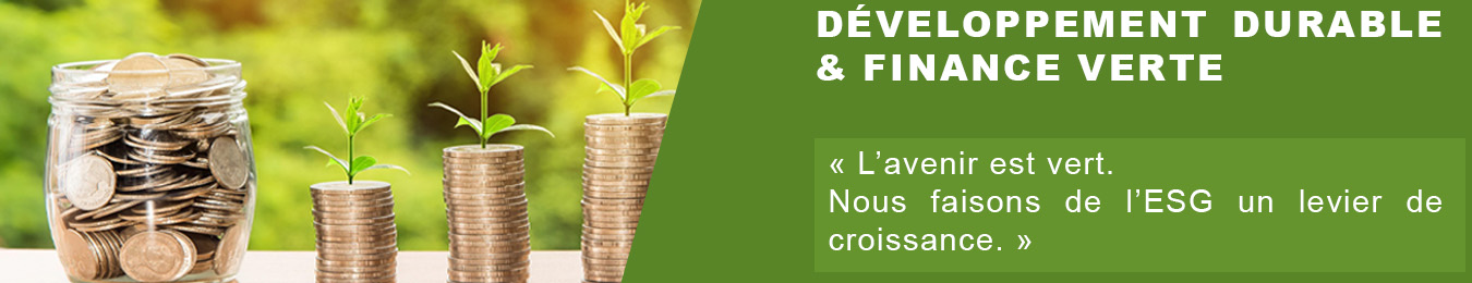 Développement durable & finance verte